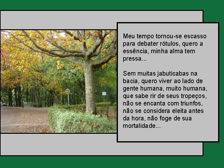 Meu tempo tornou-se escasso para debater rótulos, quero a essência, minha alma tem pressa.