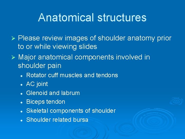 Anatomical structures Please review images of shoulder anatomy prior to or while viewing slides