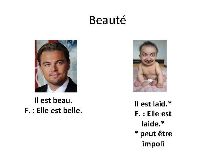 Beauté Il est beau. F. : Elle est belle. Il est laid. * F.