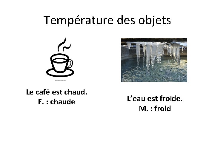 Température des objets Le café est chaud. F. : chaude L’eau est froide. M.