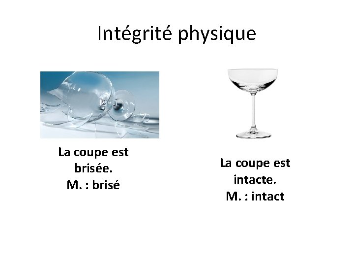 Intégrité physique La coupe est brisée. M. : brisé La coupe est intacte. M.