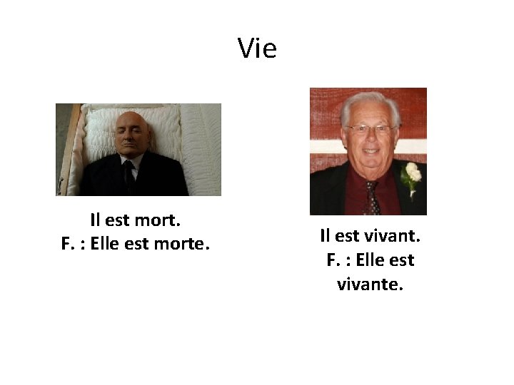 Vie Il est mort. F. : Elle est morte. Il est vivant. F. :