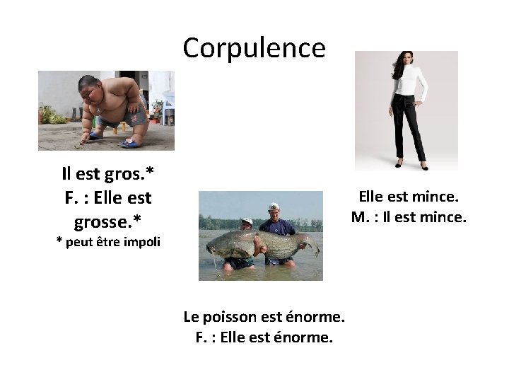 Corpulence Il est gros. * F. : Elle est grosse. * Elle est mince.