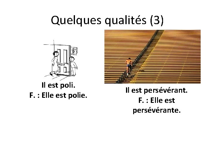 Quelques qualités (3) Il est poli. F. : Elle est polie. Il est persévérant.