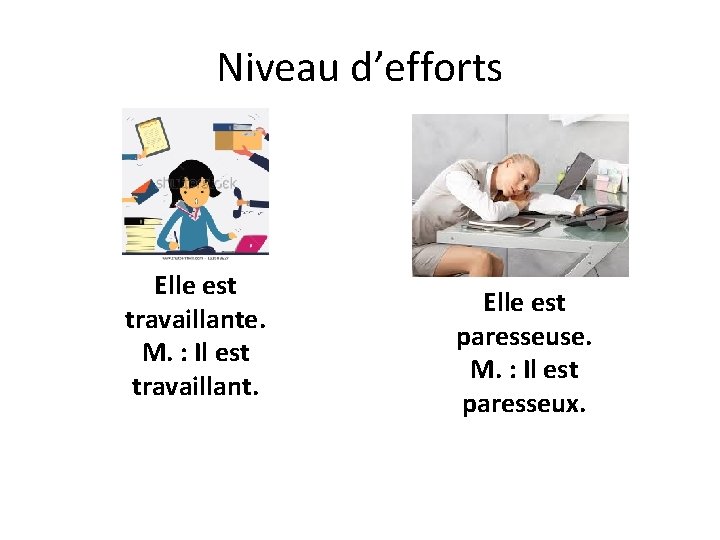 Niveau d’efforts Elle est travaillante. M. : Il est travaillant. Elle est paresseuse. M.