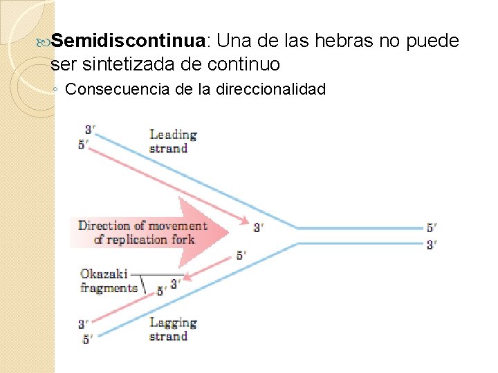  Semidiscontinua: Una de las hebras no puede ser sintetizada de continuo ◦ Consecuencia