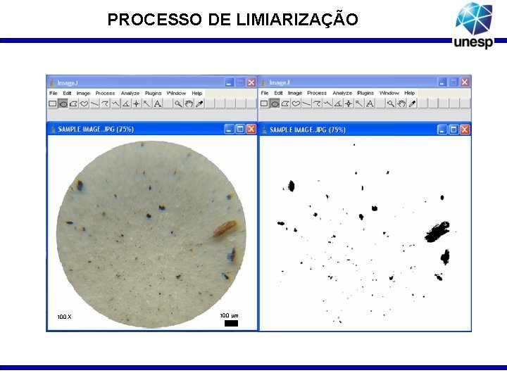 PROCESSO DE LIMIARIZAÇÃO 100 X 100 m 