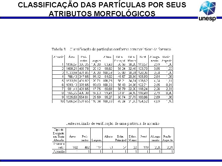 CLASSIFICAÇÃO DAS PARTÍCULAS POR SEUS ATRIBUTOS MORFOLÓGICOS 