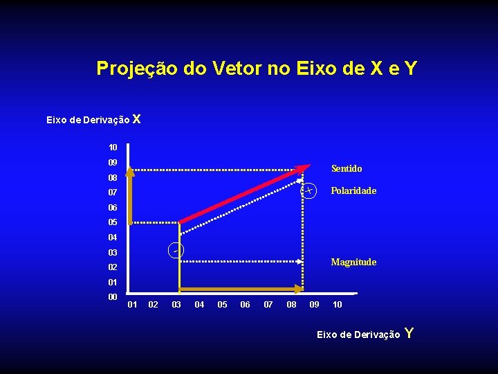 Projeção do Vetor no Eixo de X e Y Eixo de Derivação x 10