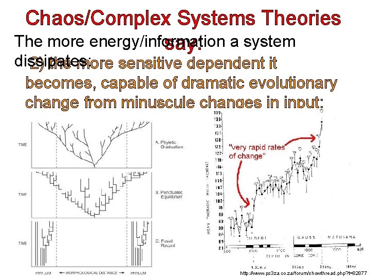 Chaos/Complex Systems Theories The more energy/information say: a system dissipates: 2) the more sensitive