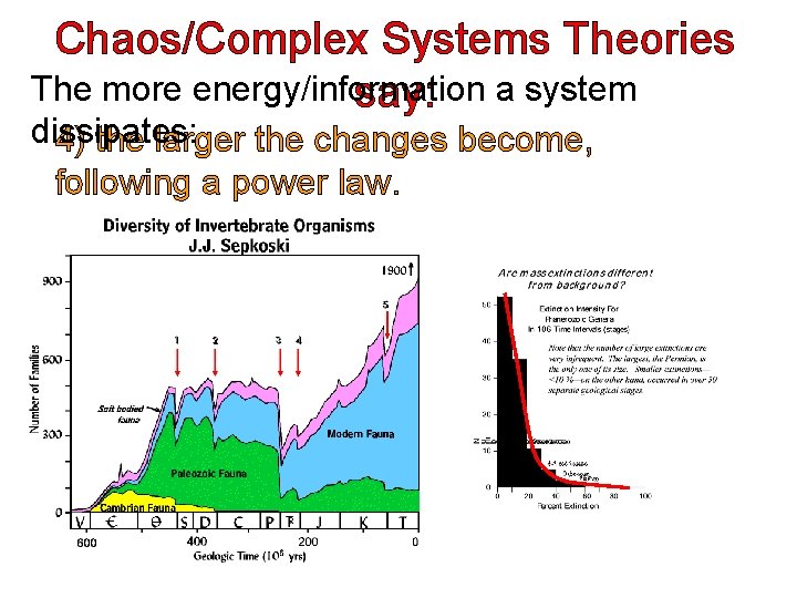 Chaos/Complex Systems Theories The more energy/information say: a system dissipates: 4) the larger the