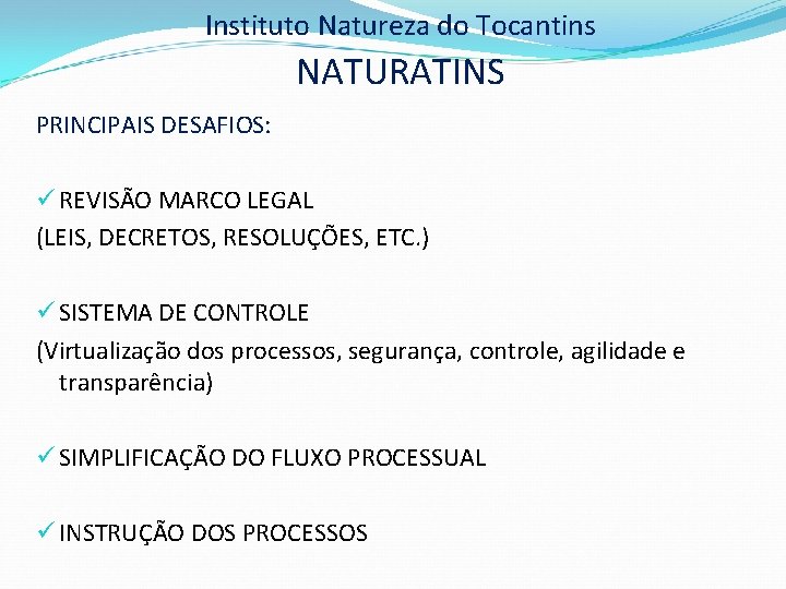 Instituto Natureza do Tocantins NATURATINS PRINCIPAIS DESAFIOS: ü REVISÃO MARCO LEGAL (LEIS, DECRETOS, RESOLUÇÕES,