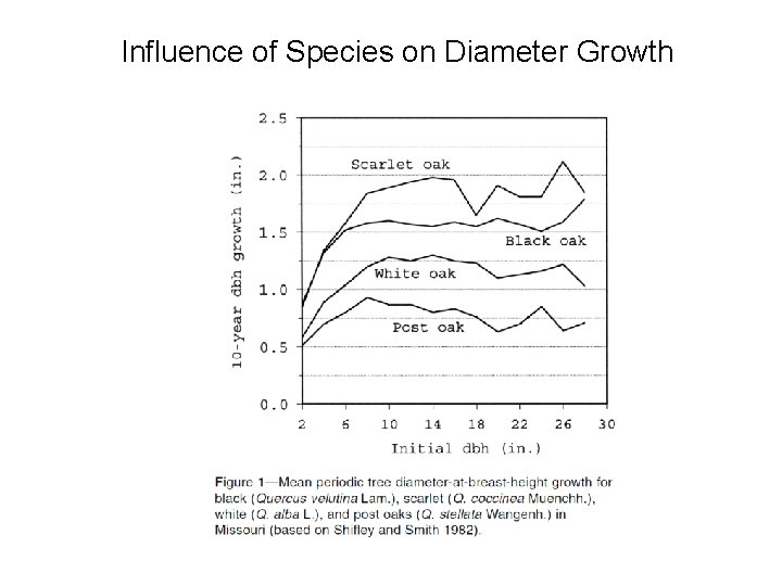 Influence of Species on Diameter Growth 