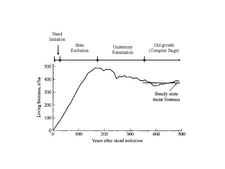 Stand Initiation Stem Exclusion Understory Reinitiation Old growth (Complex Stage) 