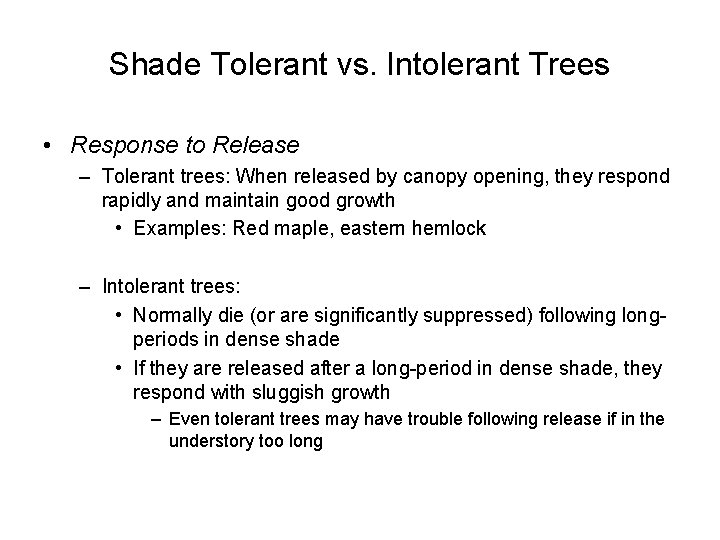 Shade Tolerant vs. Intolerant Trees • Response to Release – Tolerant trees: When released