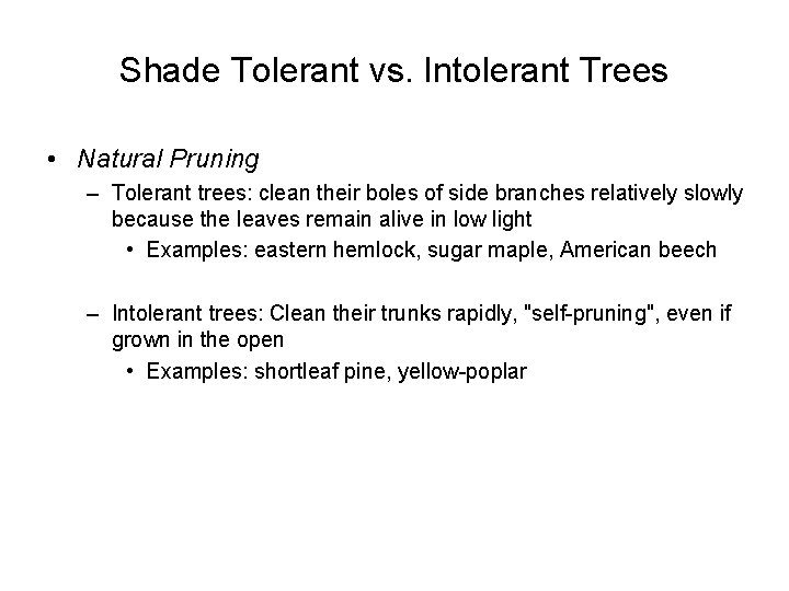 Shade Tolerant vs. Intolerant Trees • Natural Pruning – Tolerant trees: clean their boles