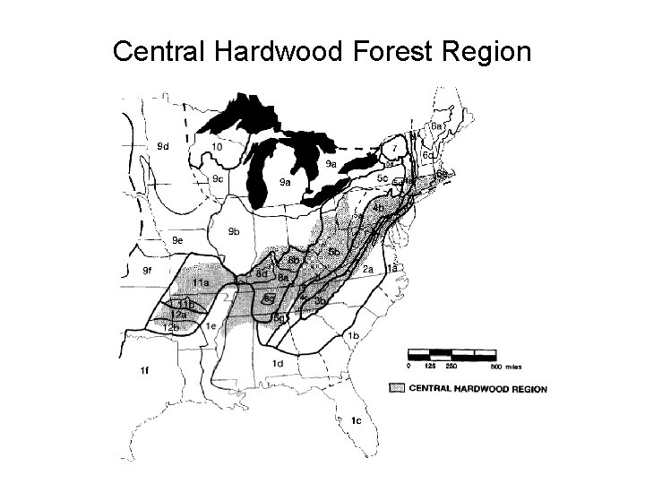 Central Hardwood Forest Region 