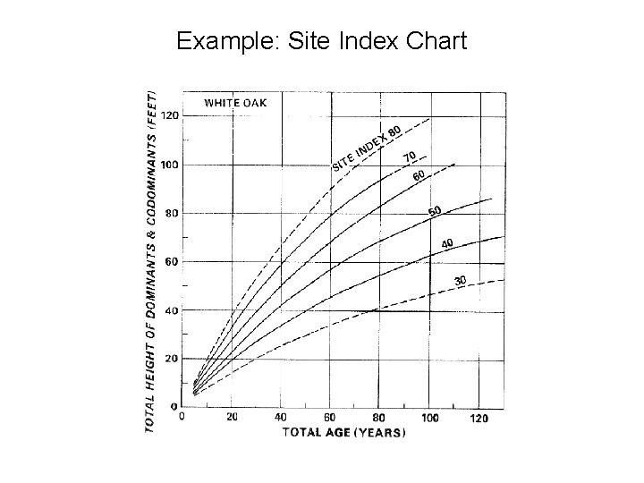 Example: Site Index Chart 