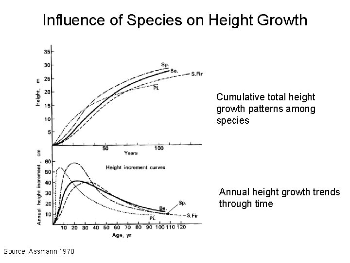 Influence of Species on Height Growth Cumulative total height growth patterns among species Annual