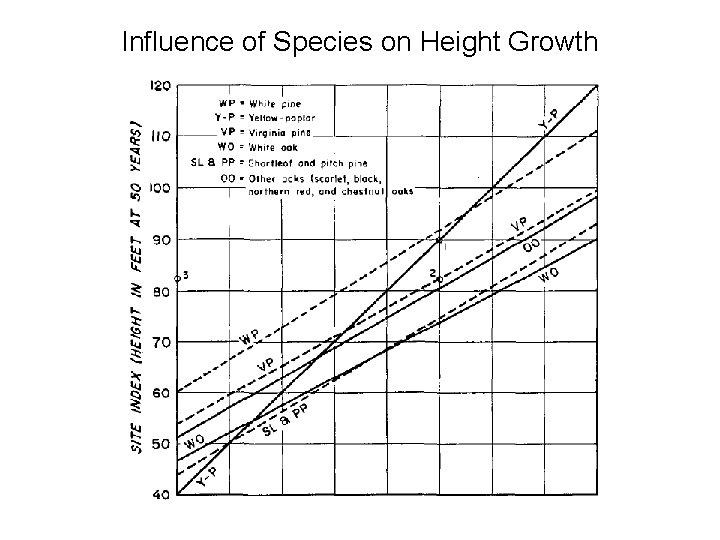 Influence of Species on Height Growth 