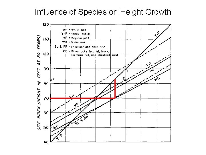 Influence of Species on Height Growth 