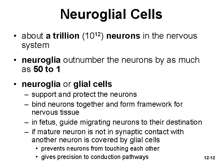 Neuroglial Cells • about a trillion (1012) neurons in the nervous system • neuroglia