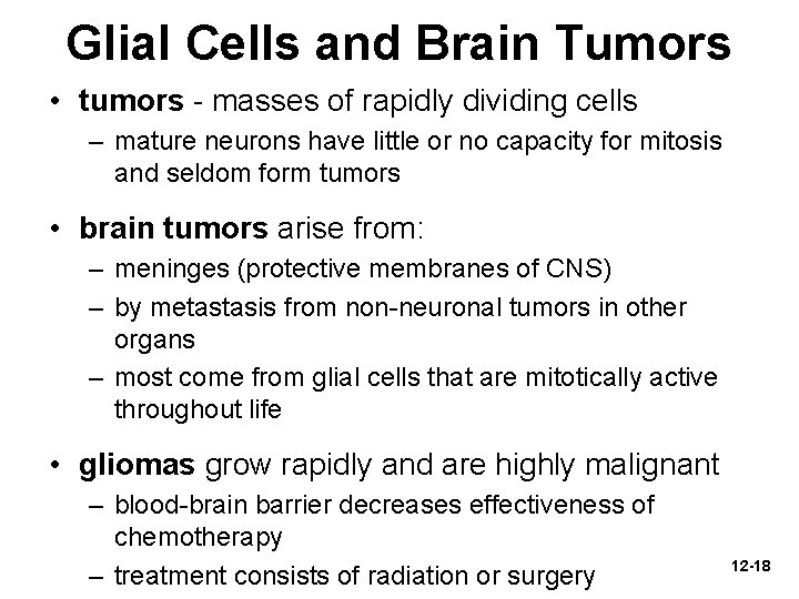 Glial Cells and Brain Tumors • tumors - masses of rapidly dividing cells –