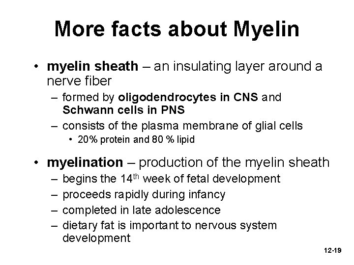 More facts about Myelin • myelin sheath – an insulating layer around a nerve