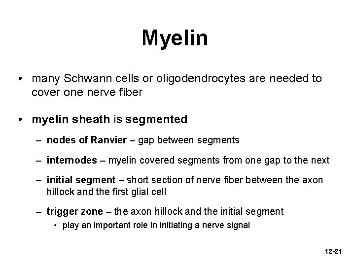 Myelin • many Schwann cells or oligodendrocytes are needed to cover one nerve fiber