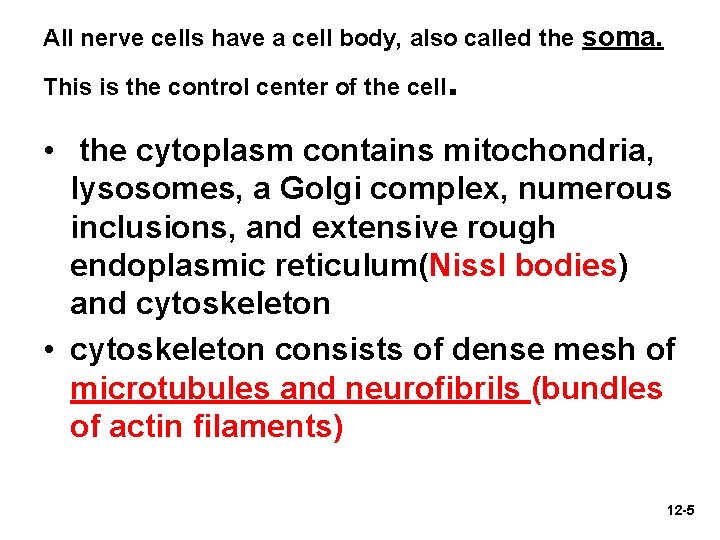 All nerve cells have a cell body, also called the soma. This is the