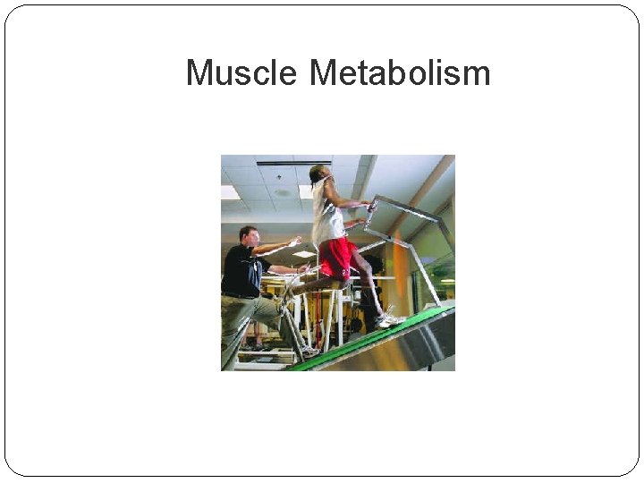 Muscle Metabolism 