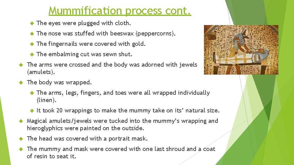 Mummification process cont. The eyes were plugged with cloth. The nose was stuffed with Mummification process cont. The eyes were plugged with cloth. The nose was stuffed with