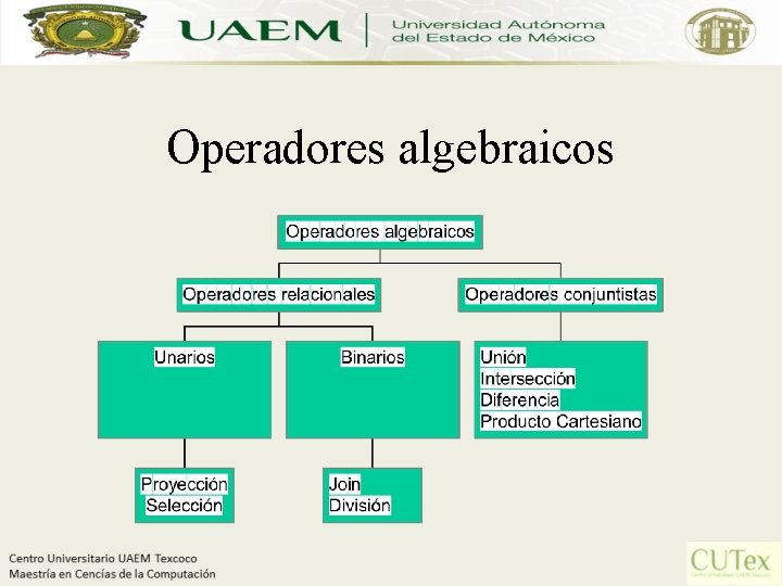 Operadores algebraicos 