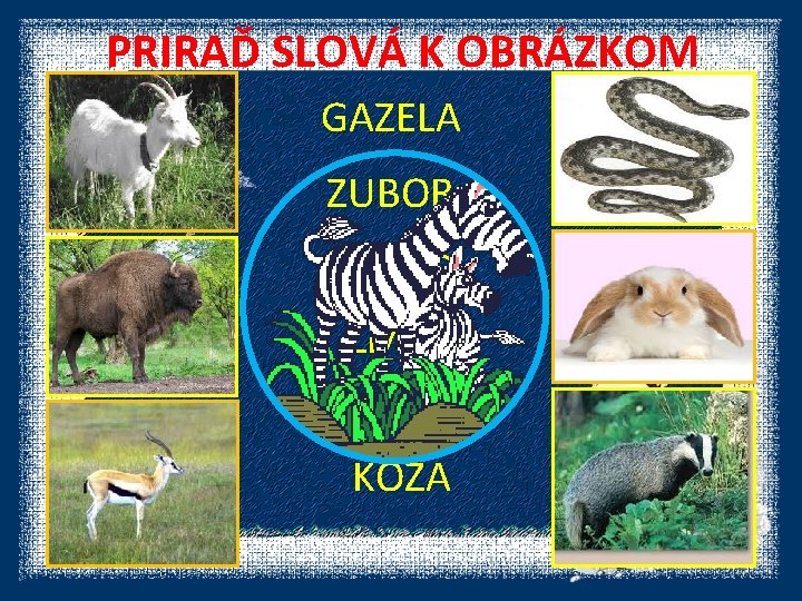 PRIRAĎ SLOVÁ K OBRÁZKOM GAZELA ZUBOR ZAJAC ZMIJA JAZVEC KOZA 