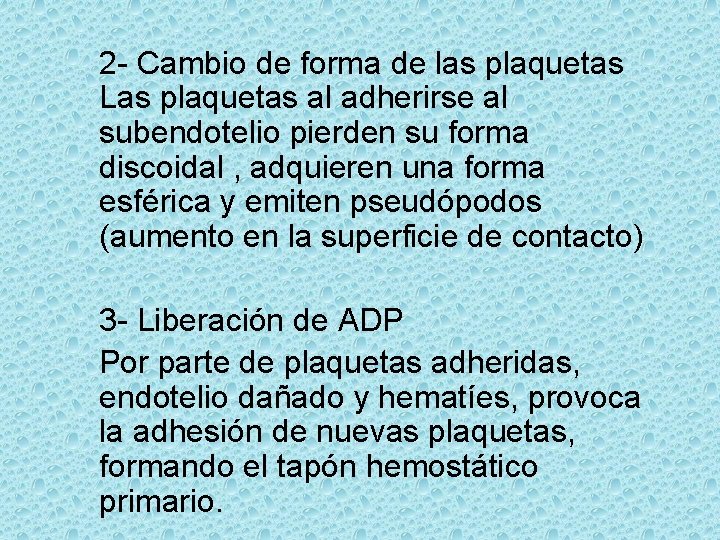 2 - Cambio de forma de las plaquetas Las plaquetas al adherirse al subendotelio