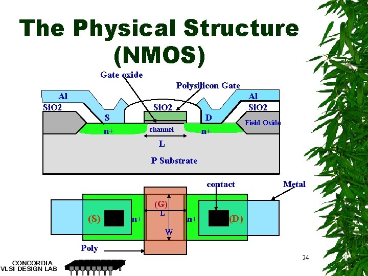 The Physical Structure (NMOS) Gate oxide Polysilicon Gate Al Si. O 2 S n+