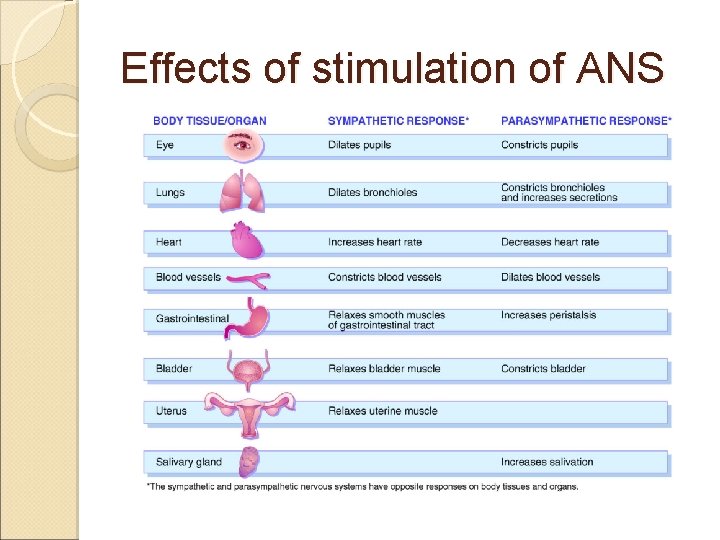 Effects of stimulation of ANS 