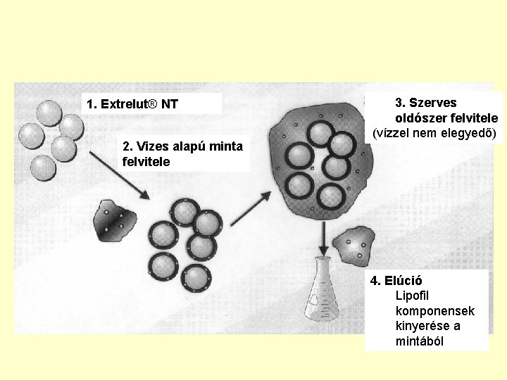 1. Extrelut® NT 2. Vizes alapú minta felvitele 3. Szerves oldószer felvitele (vízzel nem