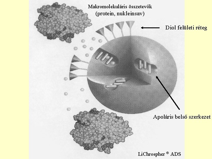 Makromolekuláris összetevők (protein, nukleinsav) Diol felületi réteg Apoláris belső szerkezet Li. Chrospher ADS 