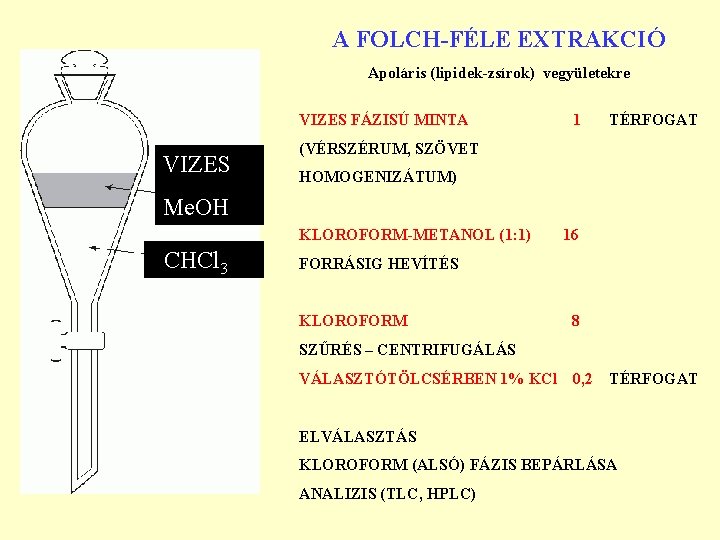 A FOLCH-FÉLE EXTRAKCIÓ Apoláris (lipidek-zsírok) vegyületekre VIZES FÁZISÚ MINTA VIZES 1 TÉRFOGAT (VÉRSZÉRUM, SZÖVET