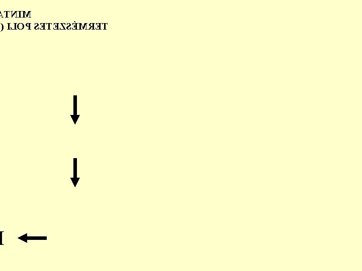 TNIM ( ILOP SETEZSÉMRET TNIM ( ILOP SETEZSÉMRET