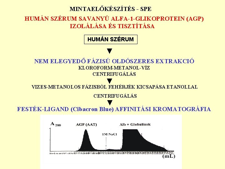 MINTAELŐKÉSZÍTÉS - SPE HUMÁN SZÉRUM SAVANYÚ ALFA-1 -GLIKOPROTEIN (AGP) IZOLÁLÁSA ÉS TISZTÍTÁSA HUMÁN SZÉRUM MINTAELŐKÉSZÍTÉS - SPE HUMÁN SZÉRUM SAVANYÚ ALFA-1 -GLIKOPROTEIN (AGP) IZOLÁLÁSA ÉS TISZTÍTÁSA HUMÁN SZÉRUM