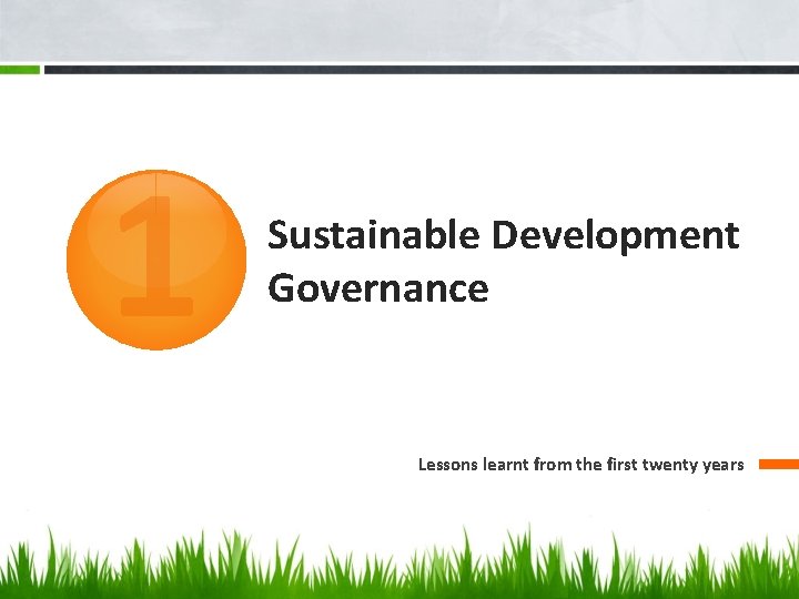 1 Sustainable Development Governance Lessons learnt from the first twenty years 