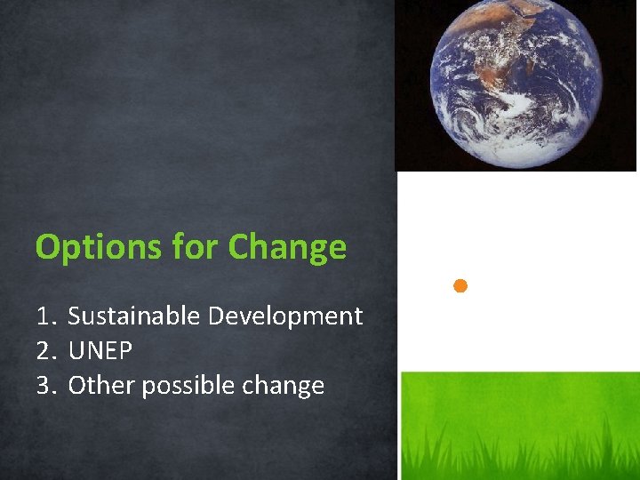 Options for Change 1. Sustainable Development 2. UNEP 3. Other possible change 