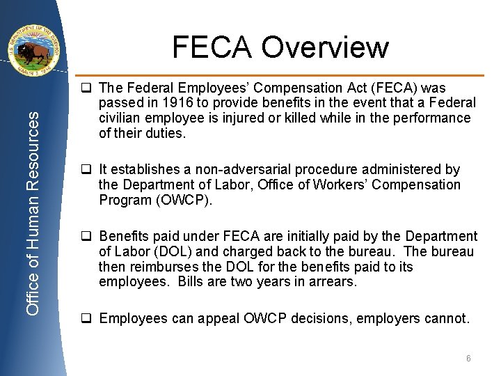 Office of Human Resources FECA Overview q The Federal Employees’ Compensation Act (FECA) was