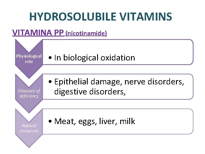 HYDROSOLUBILE VITAMINS VITAMINA PP (nicotinamide) Physiological role Diseases of deficiency Natural resources • In HYDROSOLUBILE VITAMINS VITAMINA PP (nicotinamide) Physiological role Diseases of deficiency Natural resources • In