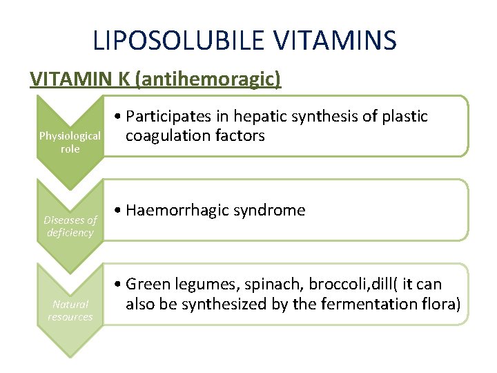 LIPOSOLUBILE VITAMINS VITAMIN K (antihemoragic) Physiological role Diseases of deficiency Natural resources • Participates LIPOSOLUBILE VITAMINS VITAMIN K (antihemoragic) Physiological role Diseases of deficiency Natural resources • Participates
