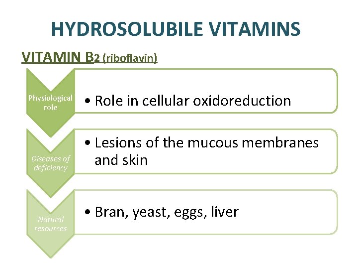 HYDROSOLUBILE VITAMINS VITAMIN B 2 (riboflavin) Physiological role Diseases of deficiency Natural resources • HYDROSOLUBILE VITAMINS VITAMIN B 2 (riboflavin) Physiological role Diseases of deficiency Natural resources •