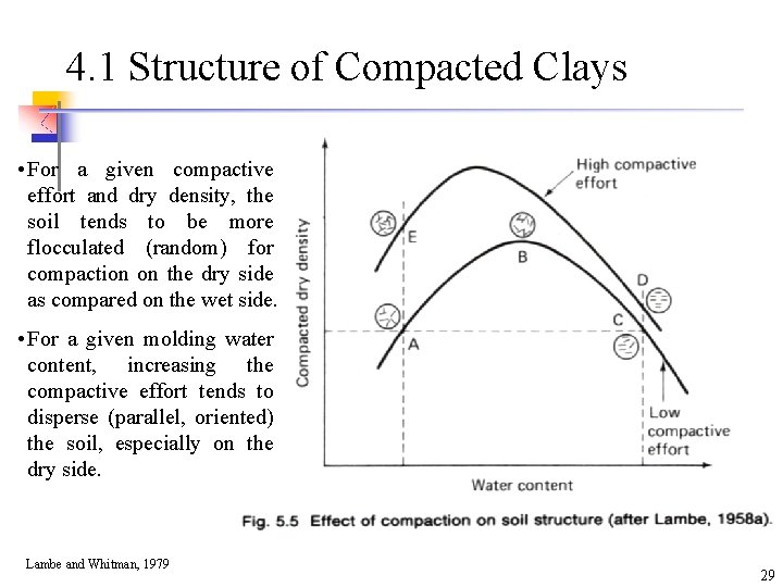4. 1 Structure of Compacted Clays • For a given compactive effort and dry