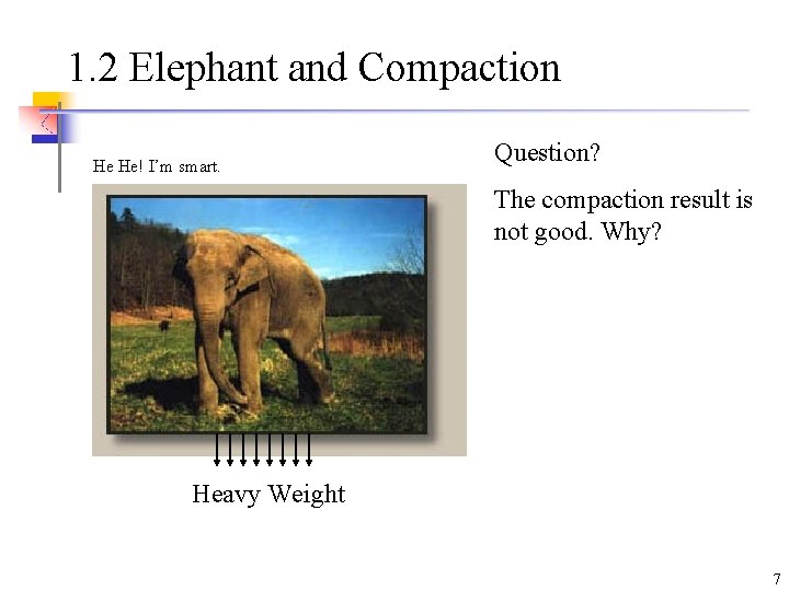 1. 2 Elephant and Compaction He He! I’m smart. Question? The compaction result is
